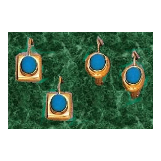 Earrings with turquoise